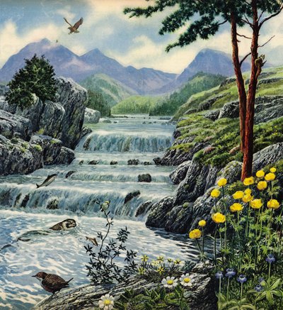 Scottish Highlands by English School